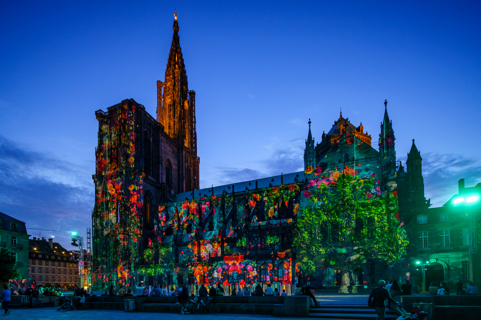 CATHEDRALE DE STRASBOURG - Studio Multimédia Concepteur