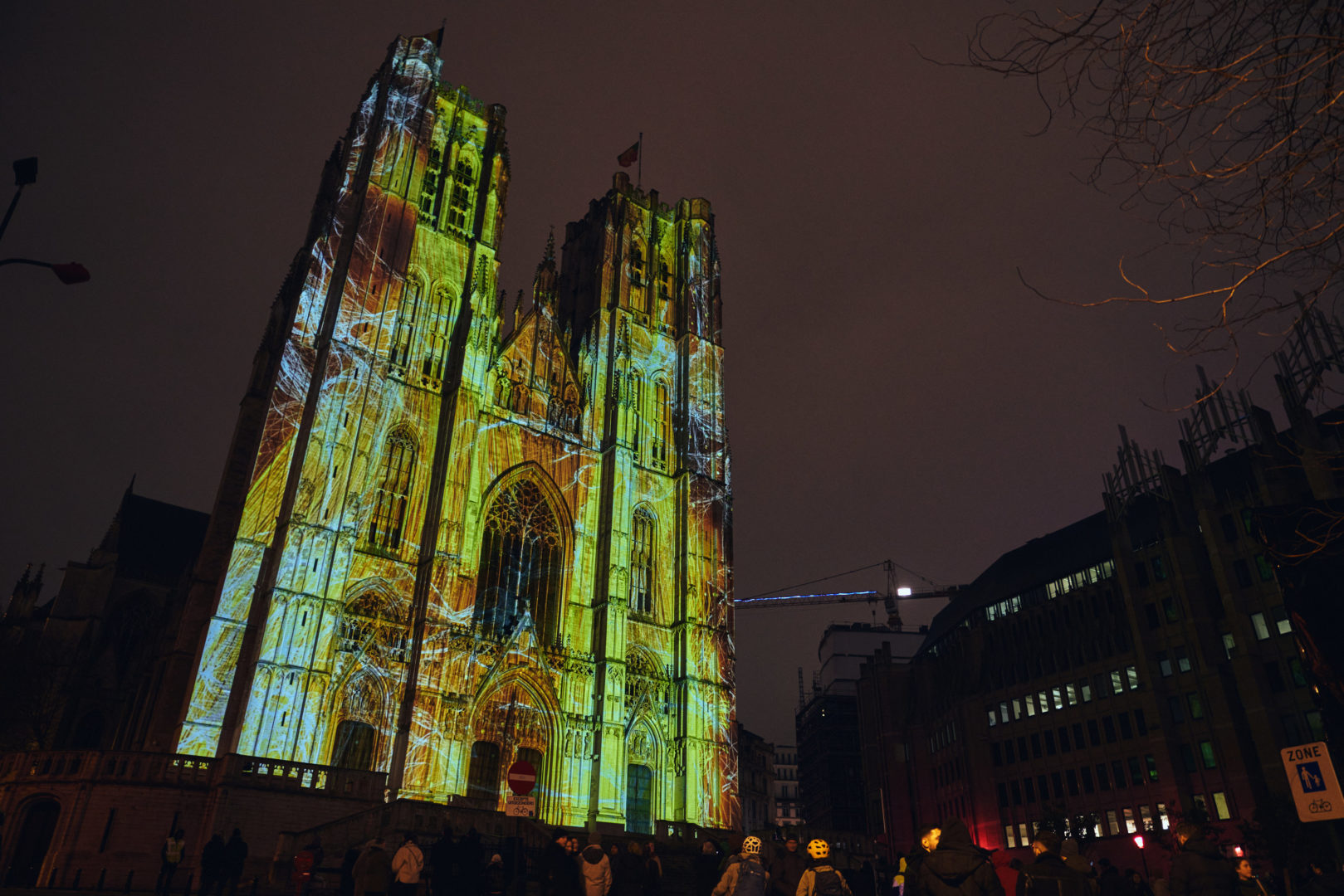 PATTERNS IN NATURE – BRUXELLES